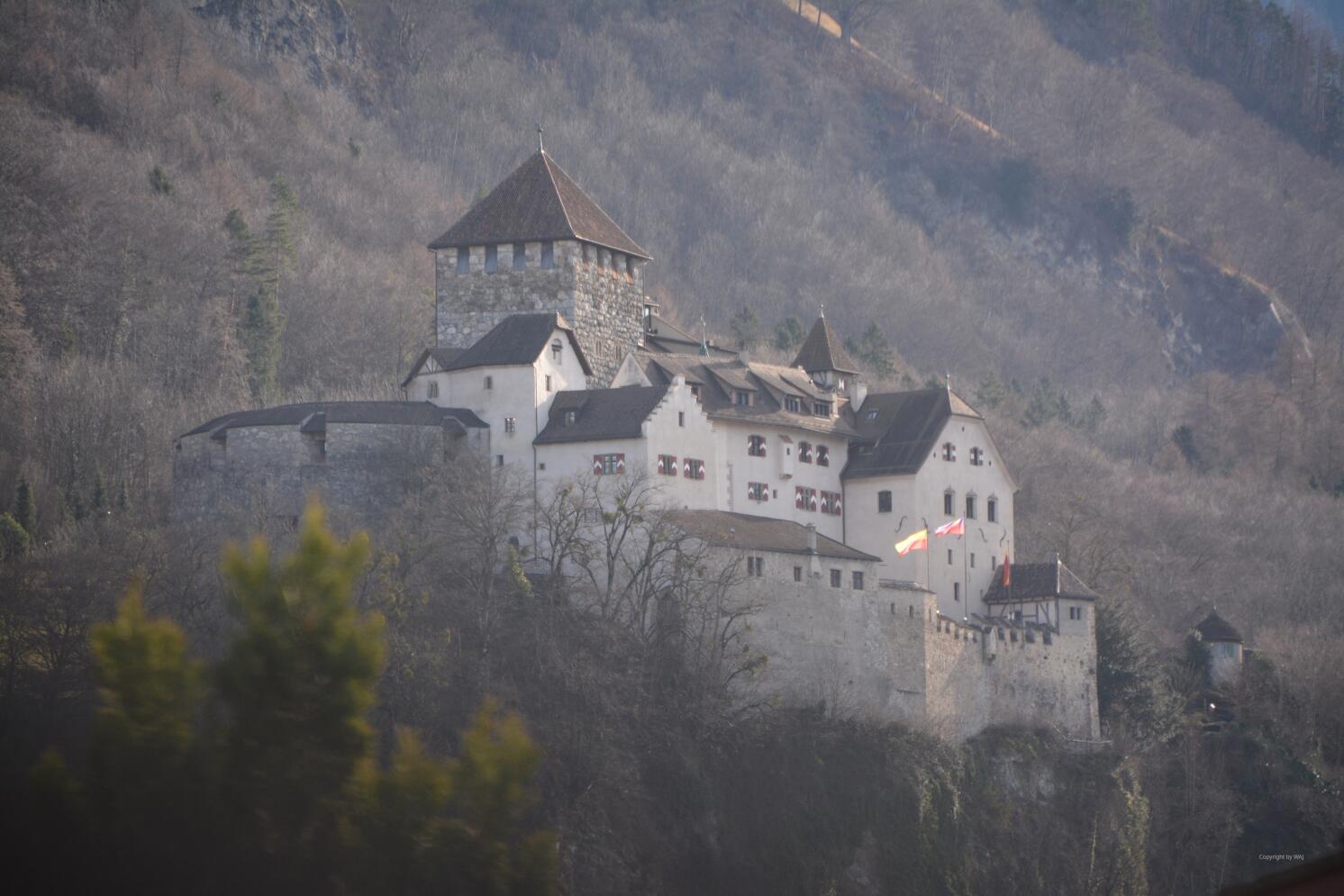 Fürstensitz Schloss Vaduz