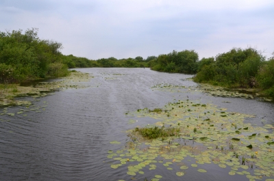 Malerische Wasserwege durchziehen das Sumpfgebiet.