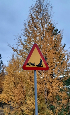 Verkehrszeichen mit Fernwehpotential...