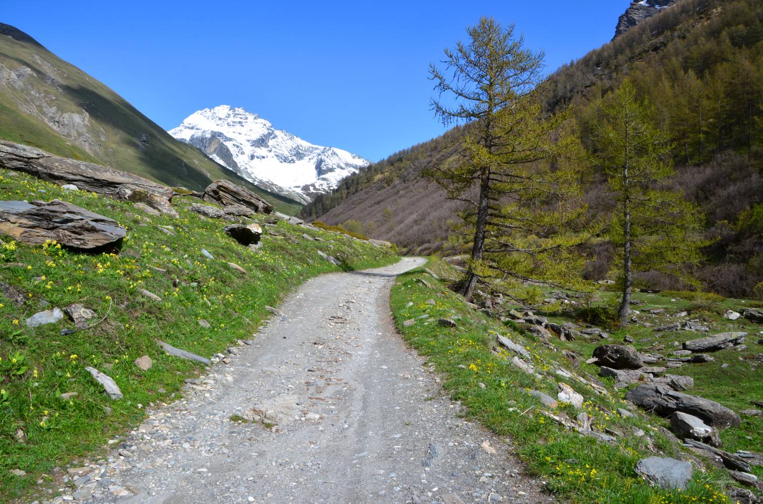 Der Weg zum Monte Sommeiller